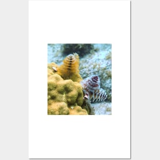 Pair of Colorful Christmas Tree Worms Posters and Art